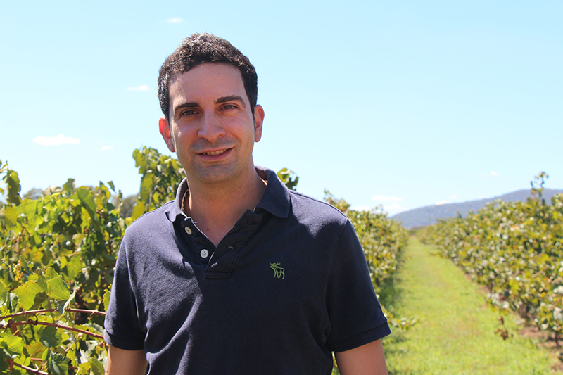 Thumbnail for Wine research awarded national innovation prize