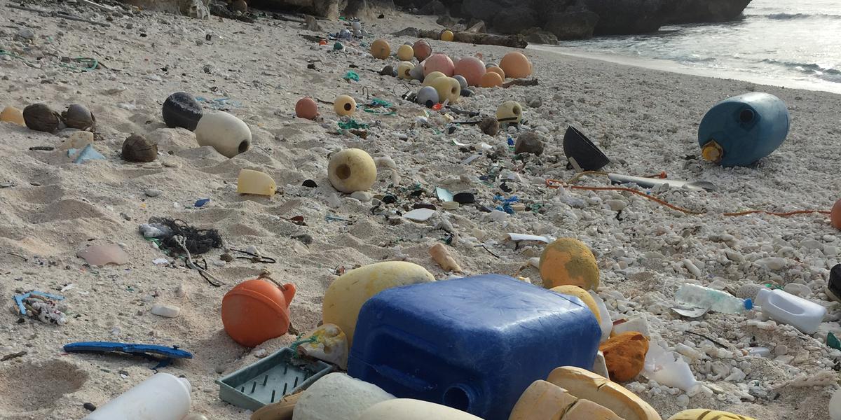 Thumbnail for Six tonnes of plastic removed from remote island's beaches