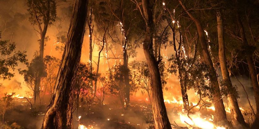Thumbnail for Study reveals attitudes to Hobart's bushfire preparation