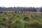 The Emu Hunters