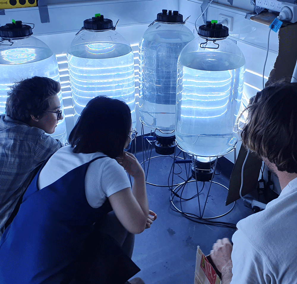 IMAS Ocean Alkalinity Enhancement research team observing experimental water tanks