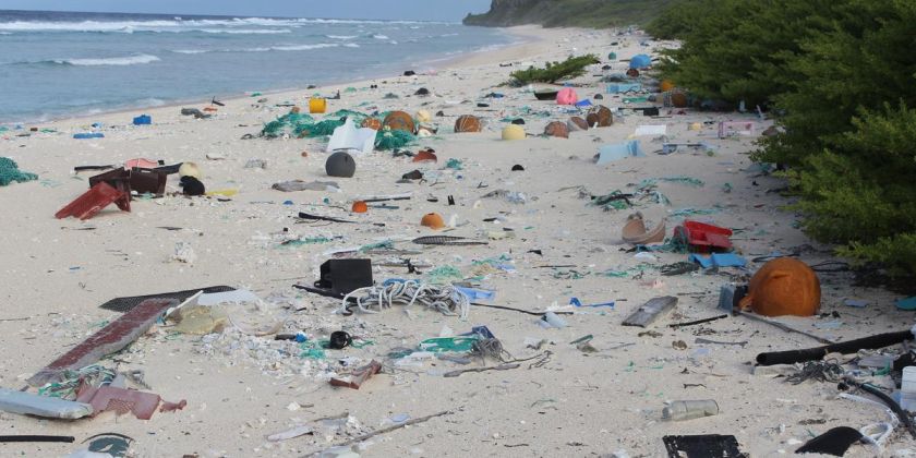 Thumbnail for Nearly 38 million bits of litter on one of world’s remotest islands