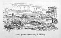 J Wills Avoca