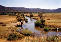 Photo of Avoca River