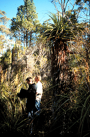 Site 1.3 Sphagnum bog - near the Lyrebird Nature Walk