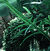Species Information Page