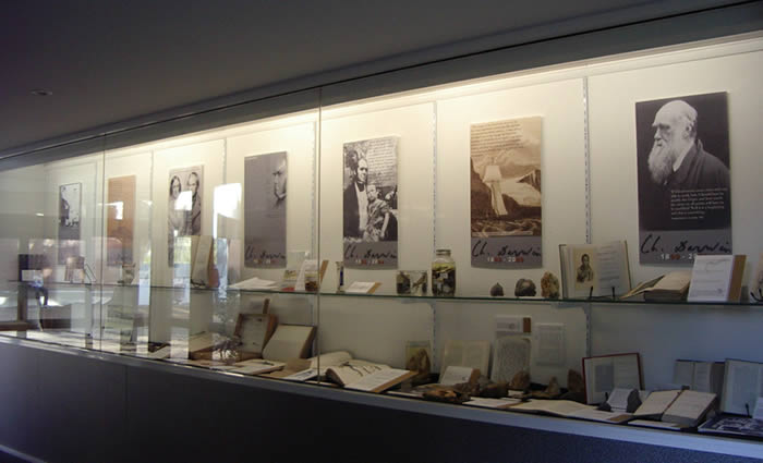 darwin exhibition