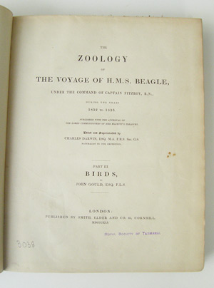 zoology of the beagle