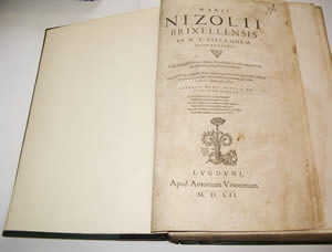 Nizoli