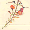Erythrina vespertilio - flower 